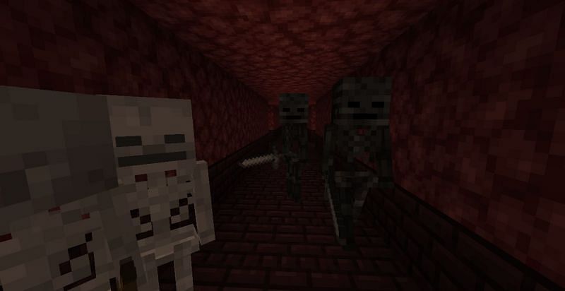 wither skeleton vs skeleton