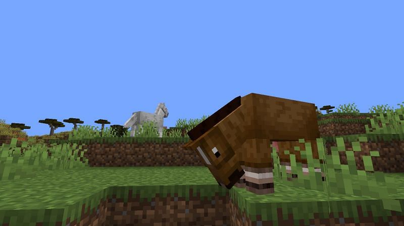 Image via Minecraft