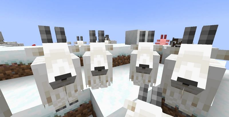 A few Goats staring at their next victim (Image via Minecraft)