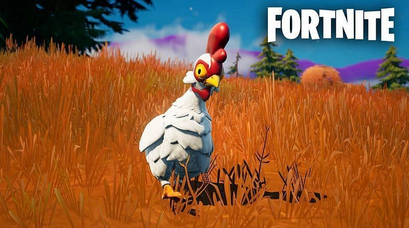 Where to hunt and &quot;Fly 20 meters&quot; with Chickens in Fortnite Season 6 (Image via Epic Games)