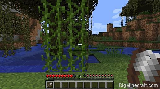 Vines collected by sheers (Image via digminecraft)