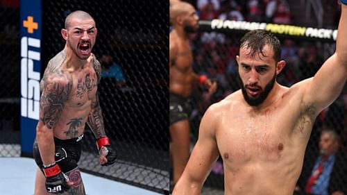 Cub Swanson (left), Dominick Reyes (right)