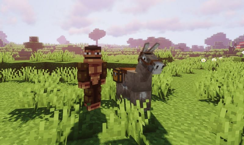 Donkeys are tamed based on their temper stat (Image via Minecraft)