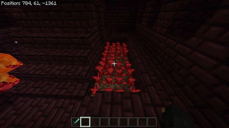 Kill some blaze enemies until you have a few blaze rods. Travel around your fortress until you come across a room with red fungus and a staircase.