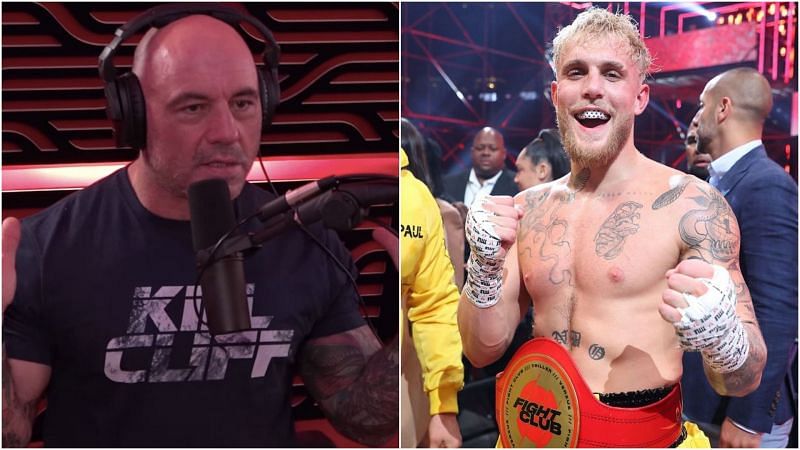 MMA commentator and podcast host Joe Rogan recently gave a glowing review of YouTuber Jake Paul&#039;s boxing skills
