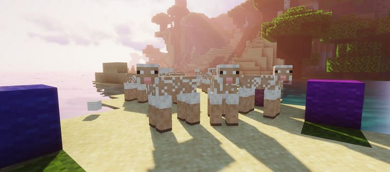 Shown: Naked sheep island, where players go to get colored wool (Image via Minecraft)