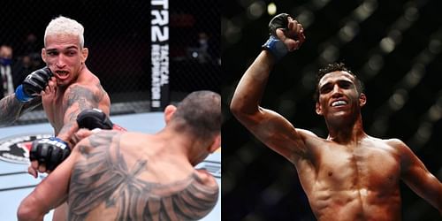 Chandler Oliveira challenges for the UFC lightweight title at UFC 262