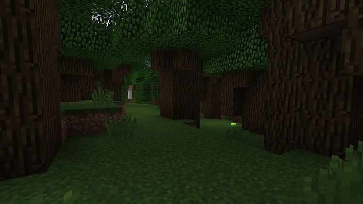 Dark oak forest (Image via Minecraft)