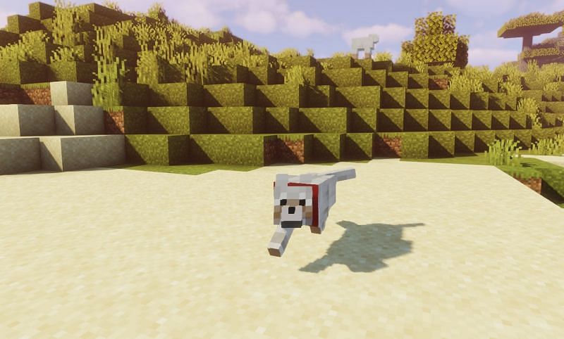 Wolf pups can be healed using fish in Minecraft (Image via Minecraft)