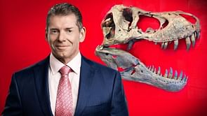 "My buddy Vince!" - Released WWE star on pitching ideas to Vince McMahon
