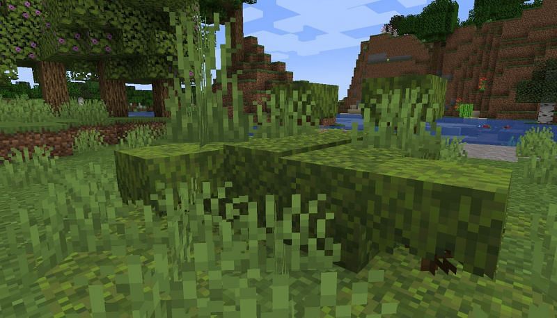 Shown: Moss Blocks spawning Azalea after using bone meal (Image via Minecraft)