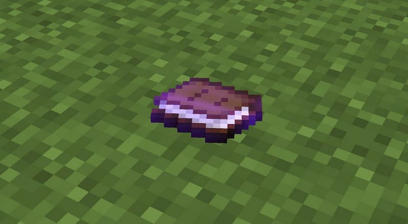 List of things Minecraft players can get from fishing