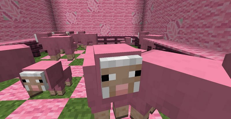 Pink sheep farm (Image via Minecraft)