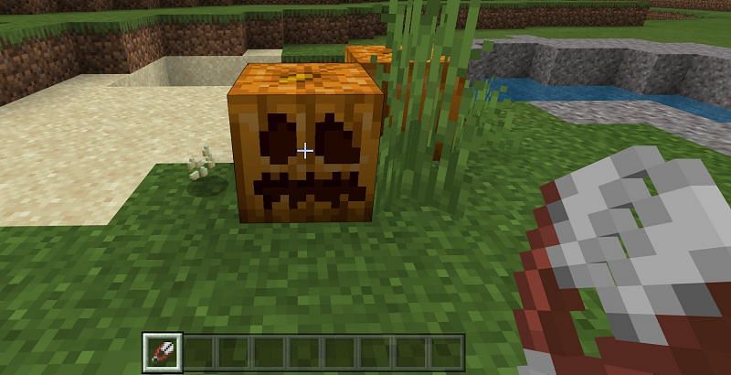 Steps to carve a Pumpkin in Minecraft