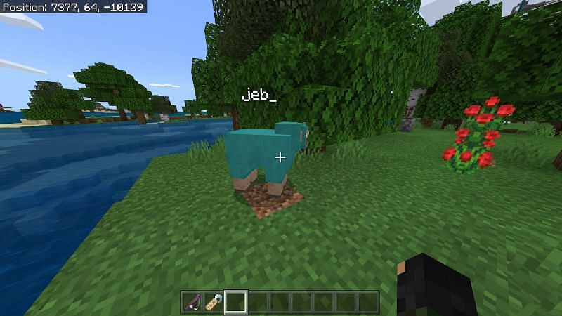 Now all that is left is to find a sheep to name Jeb. Right-click on any sheep with the name tag to make the sheep&rsquo;s wool change color.&nbsp;