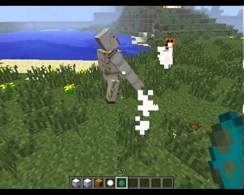 Iron golem vs snow golem in Minecraft (Image via YouTube)