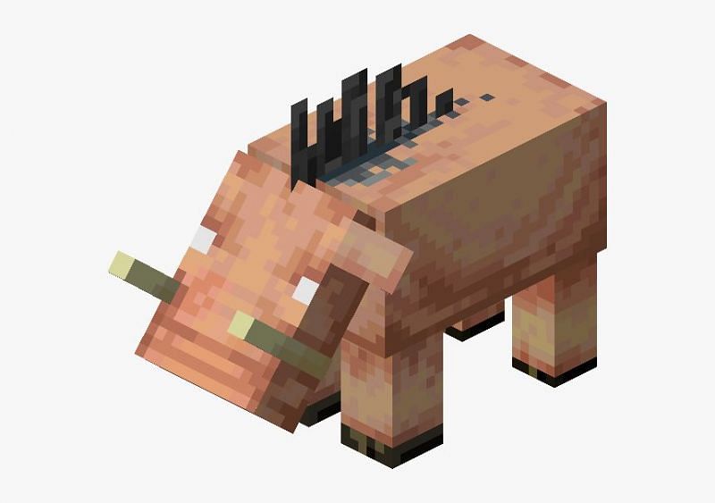 Minecraft Hoglin&#039;s appearance (Image via kindpng)