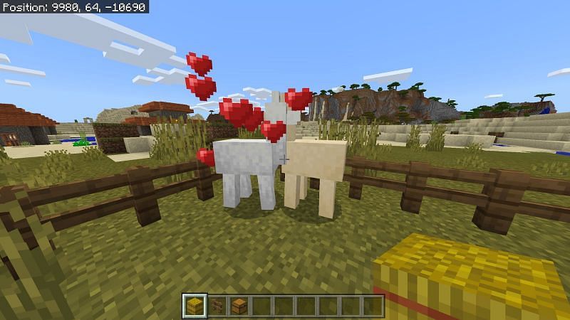 How to Breed Llamas in Minecraft- Step 4