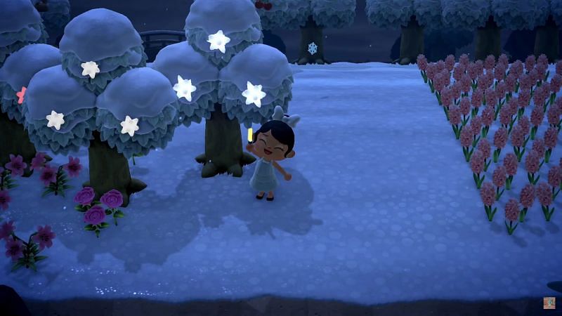 (Image via Animal Crossing world)