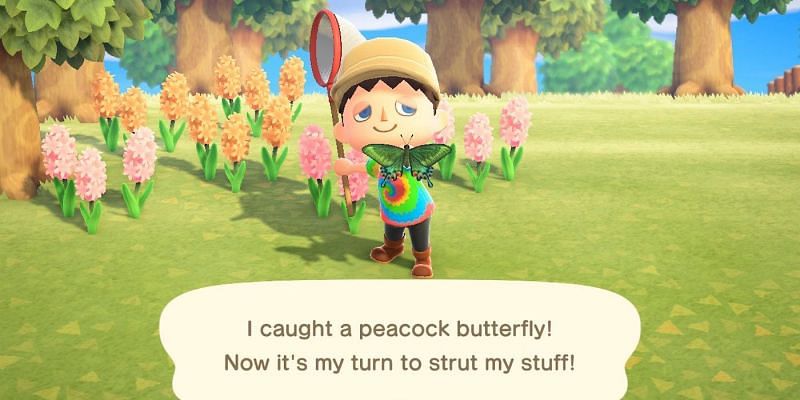 (Image via Animal Crossing world)