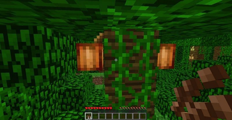 Cocoa beans in the jungle (Image via planetminecraft)