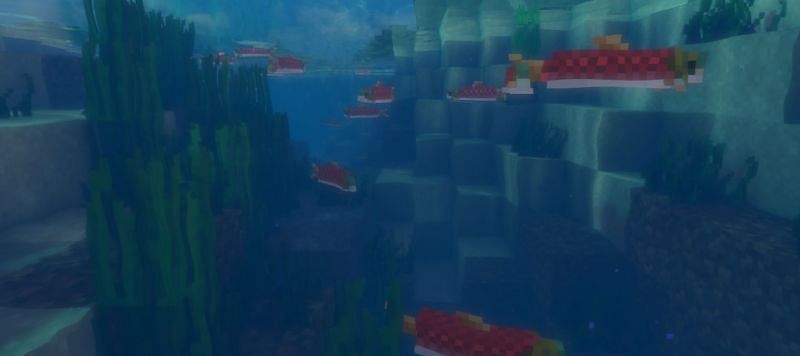 Shown: Regular Java Edition salmon (Image via Minecraft)