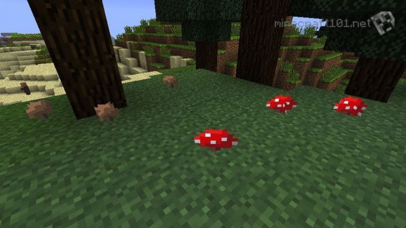 Brown mushrooms tend to grow in biomes where there is not too much light (Image via Minecraft101)