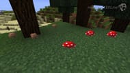 Brown mushrooms tend to grow in biomes where there is not too much light (Image via Minecraft101)