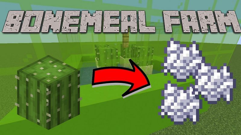 How to build an automatic bonemeal farm in Minecraft