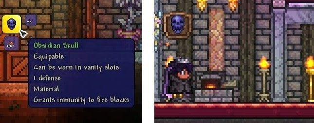 How to get the Ankh Shield in Terraria: All you need to know!