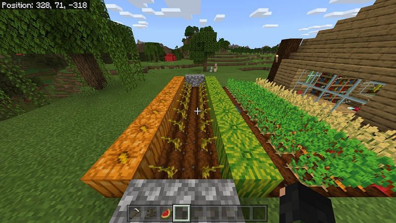 Melon farm Minecraft