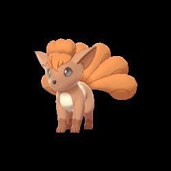 Appearance of Vulpix