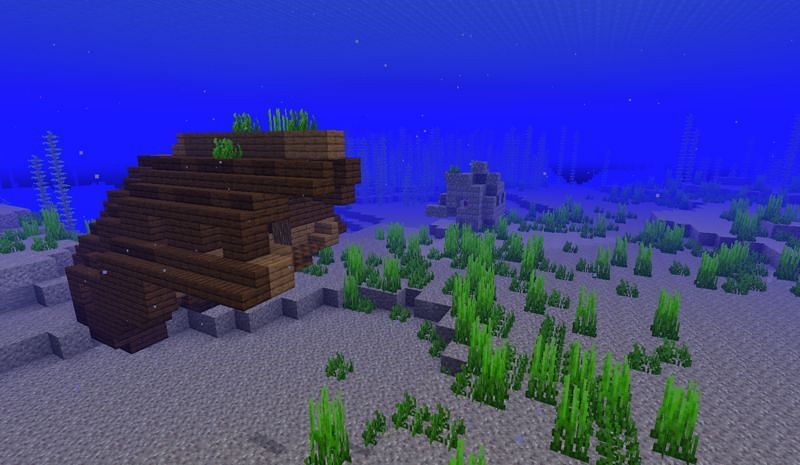 Some of the underwater structures found in Ocean biomes (Image via Mojang)