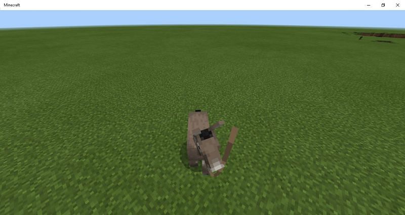 Bedrock donkey. Image via Mojang