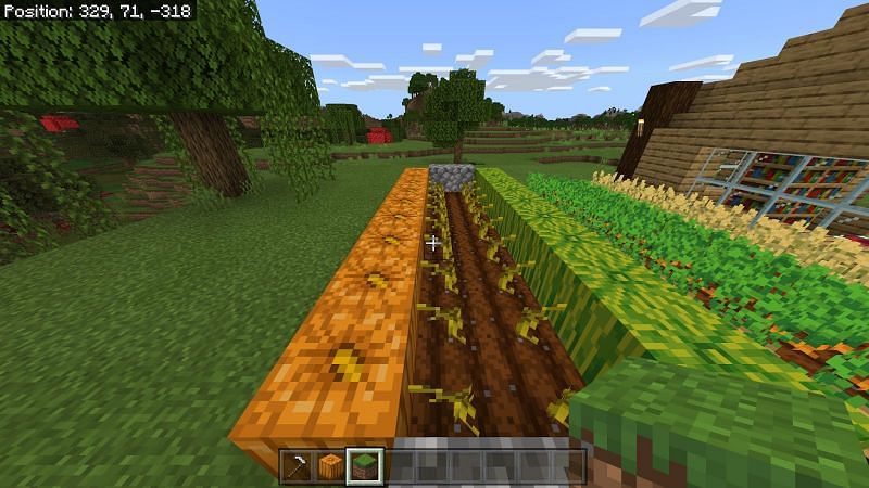 Growing pumpkins in Minecraft