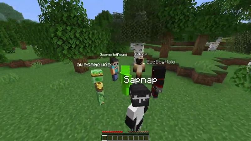 He is perfect - Minecraft community goes berserk after a sneak