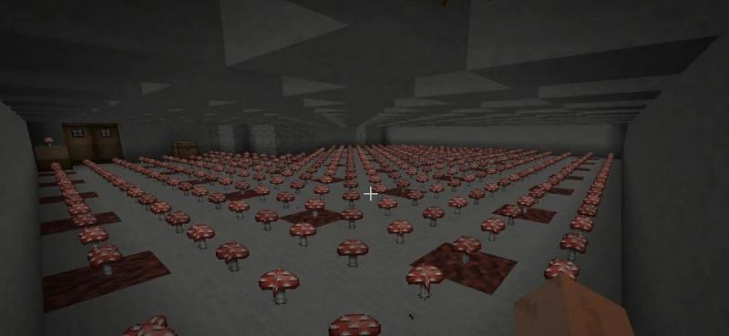 A massive mushroom farm (Image via u/Hockinator on Reddit)