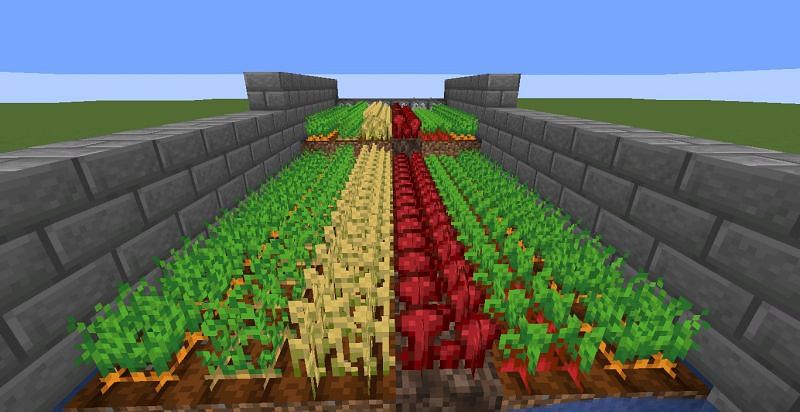 Harvesting crops (Image via Minecraft)