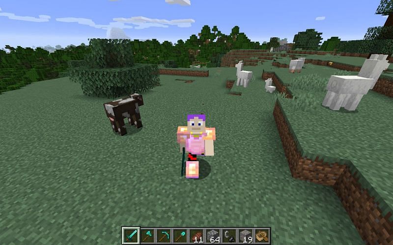 Minecraft Speedrunning Is Very Weird, but Interesting 