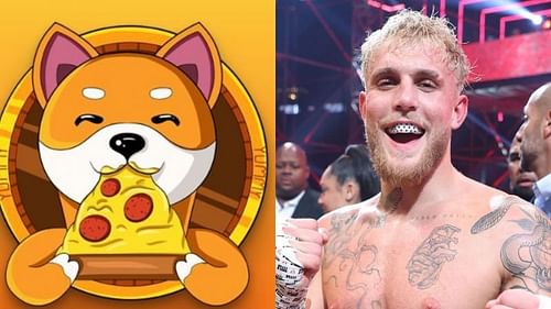 YouTuber-turned-boxer Jake Paul has voiced his support for the charitable cryptocurrency Yummy Coin. [Yummy Coin image via Twitter]