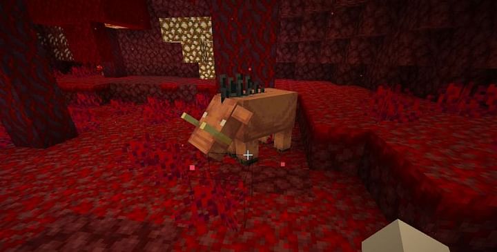 Top 5 scariest things about the nether in Minecraft