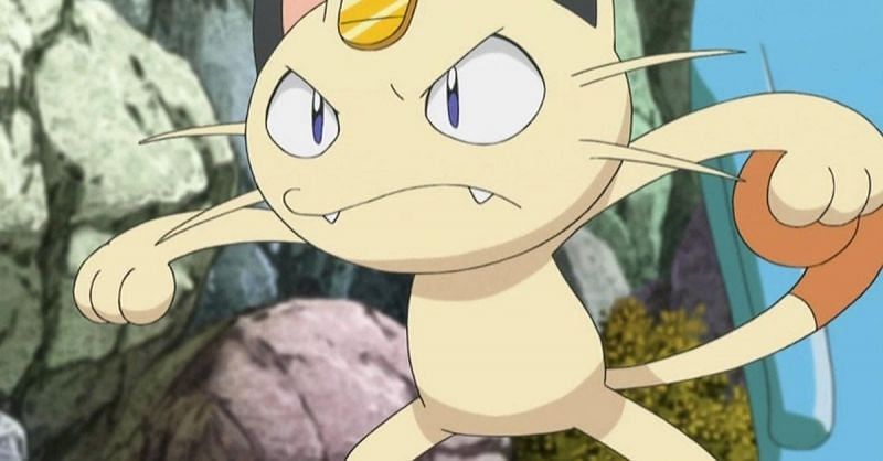 Appearance of Meowth