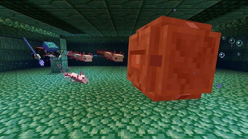Axolotls fighting off an aquatic mob with the help of a player (Image via Minecraft)