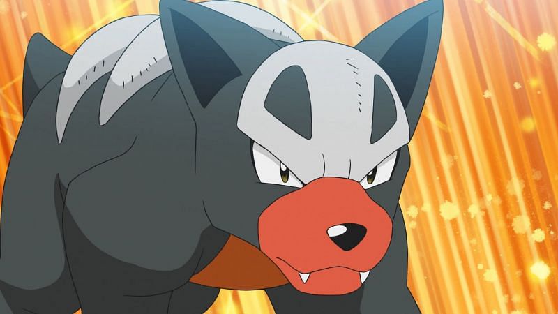 Houndour as seen in the anime (Image via The Pokemon Company)