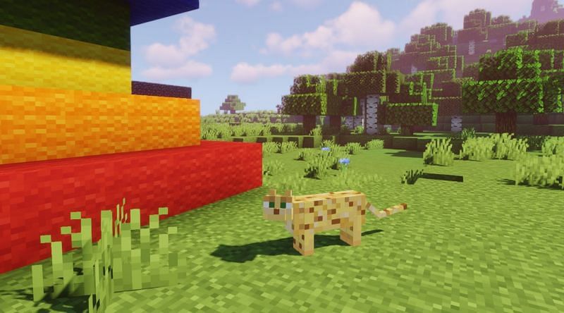 An Ocelot chilling next to a big Wool structure, possibly looking for some yarn (Image via Minecraft)