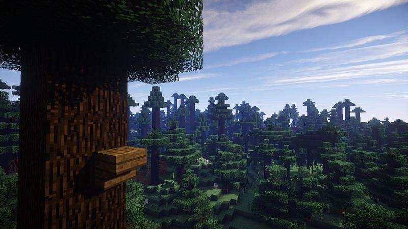Spruce forest (Image via minecraftforum)