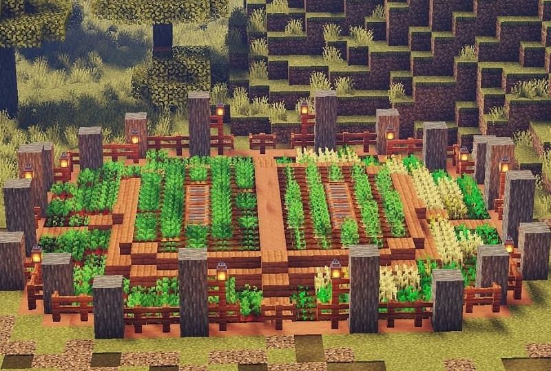 5 best food to farm in Minecraft