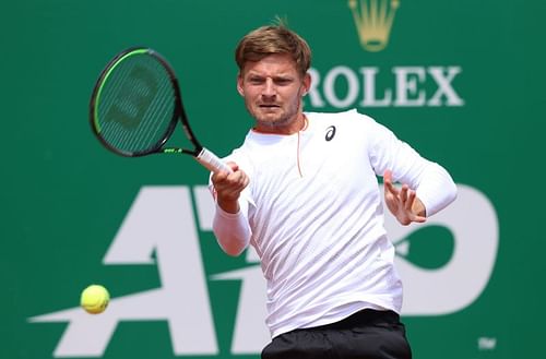 David Goffin