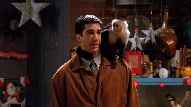 Still of David Schwimmer with Katie, the Monkey from &quot;Friends&quot; (Image via Warner Bros.)