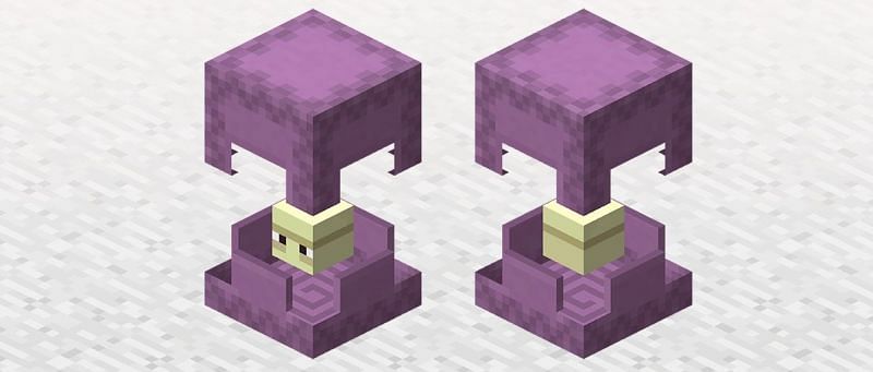 A Shulker is a box-shaped hostile mob in Minecraft (Image via Minecraft)